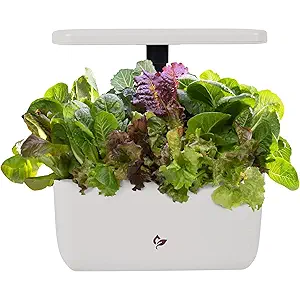 AeroGarden Harvest 2.0, Indoor Garden Hydroponic System with LED Grow Light, Holds up to 6 AeroGarden Pods, Cream