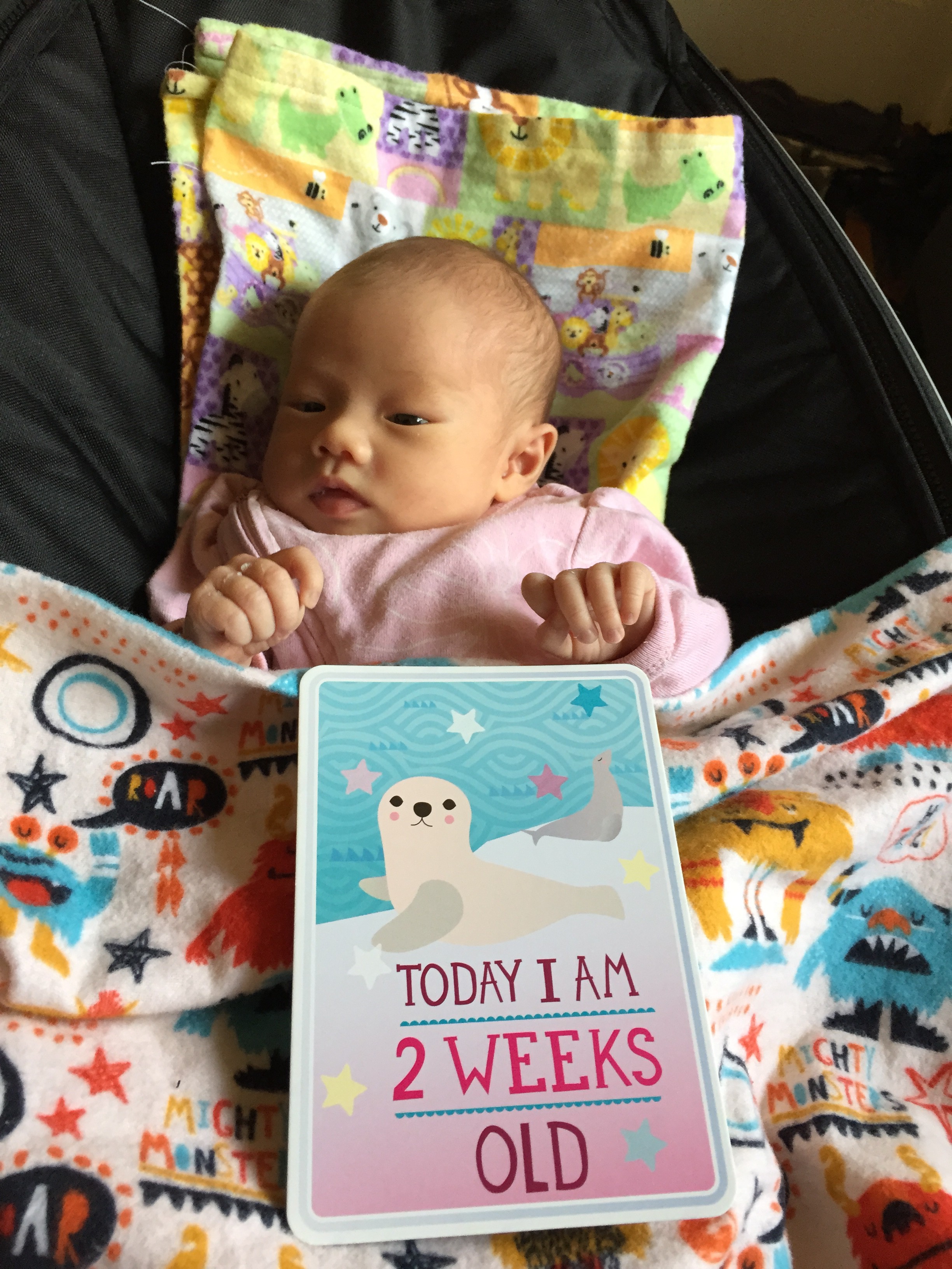 Hooray! You're 2 weeks old.