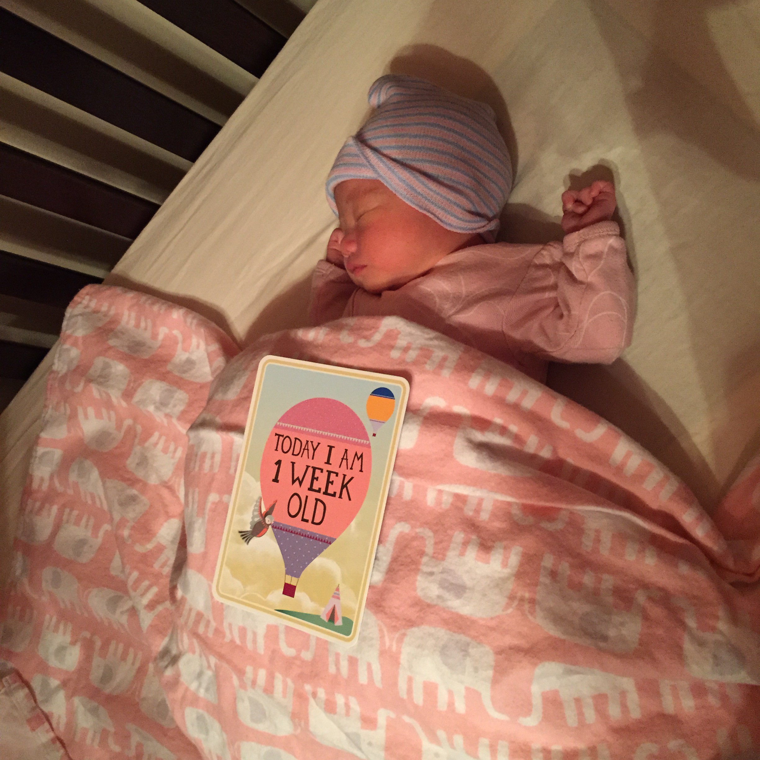You're 1 week old! Growing up so fast.