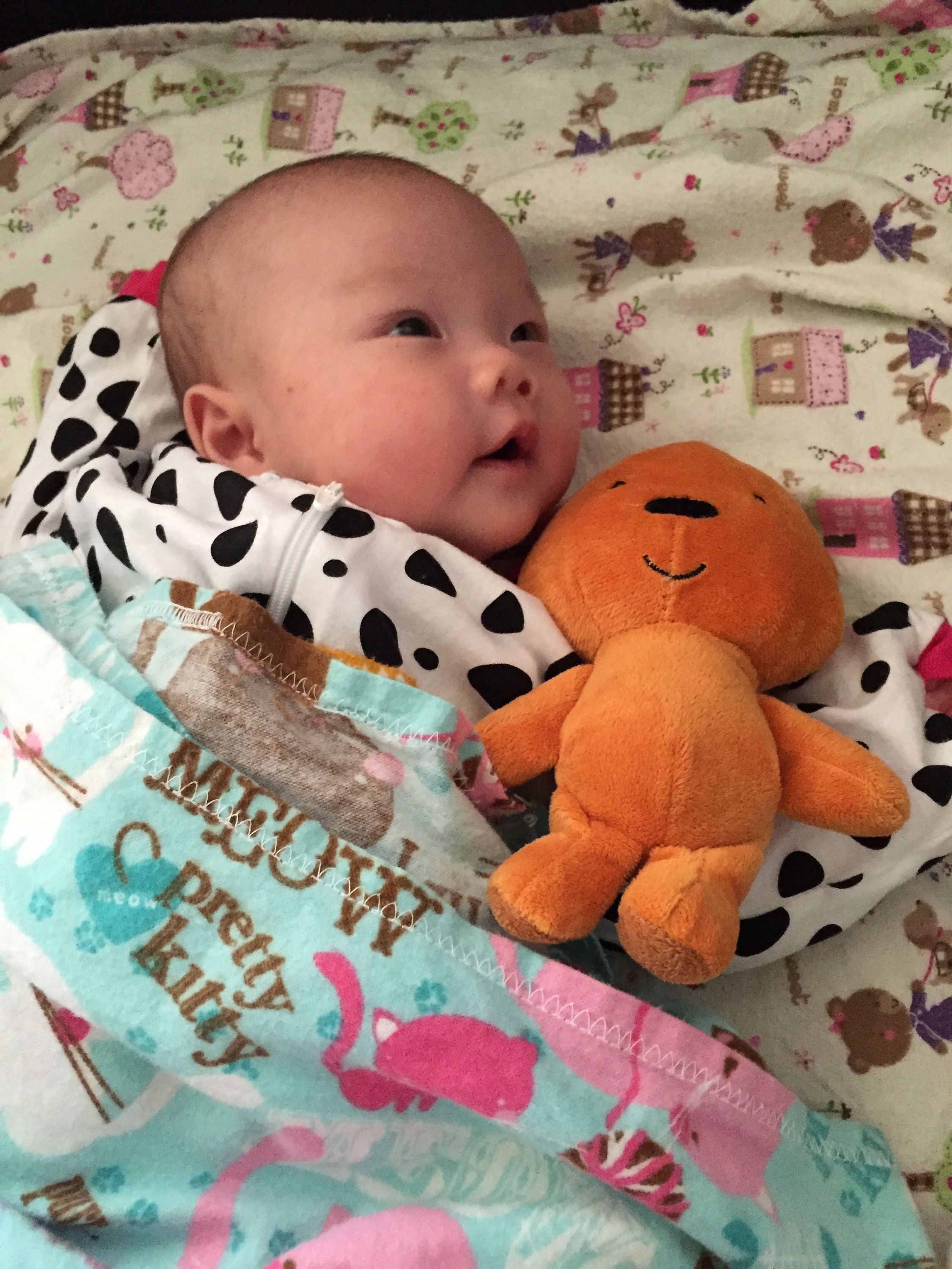 You Love Your Teddy Bear