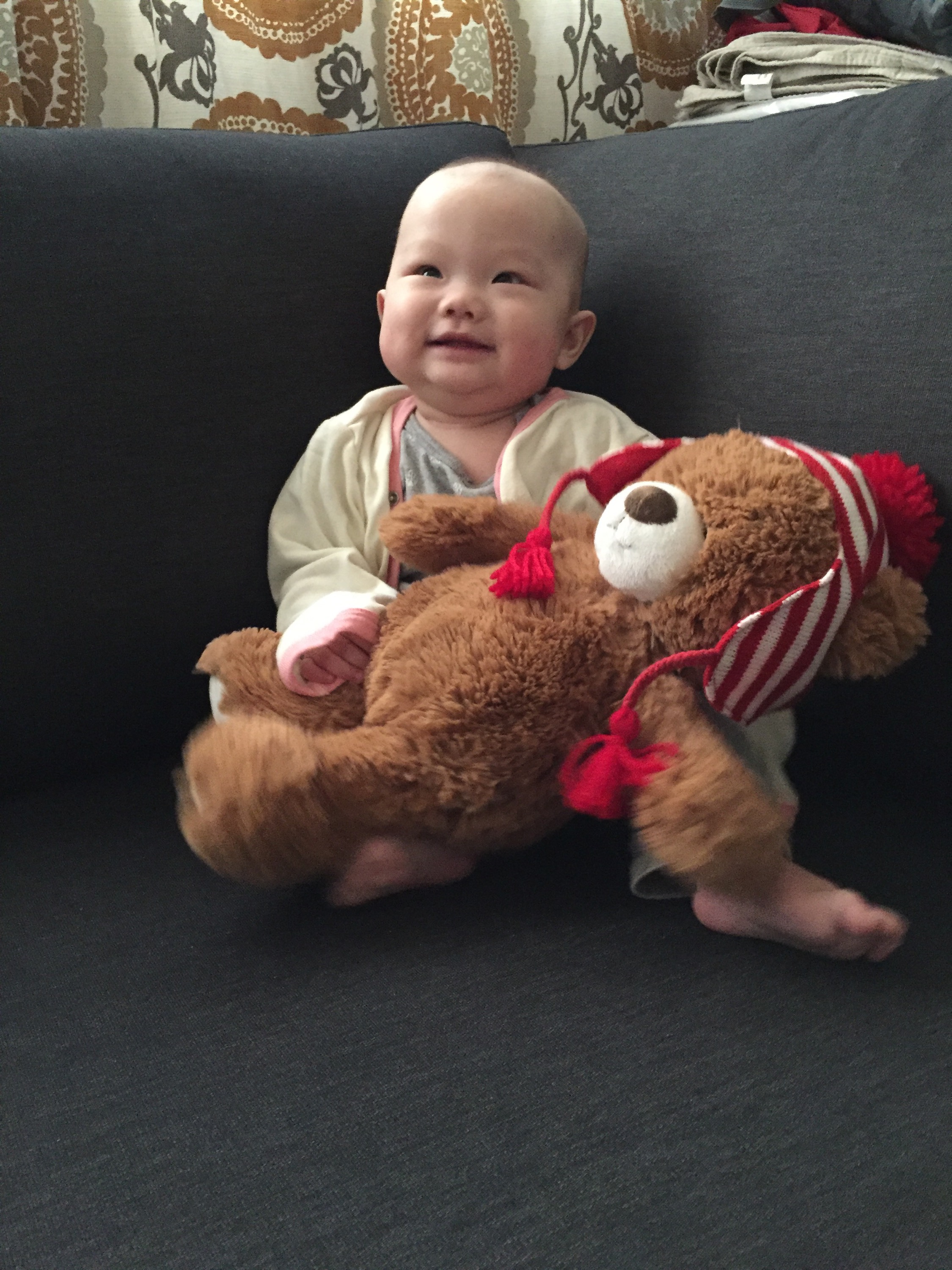 You Love Your Teddy Bear