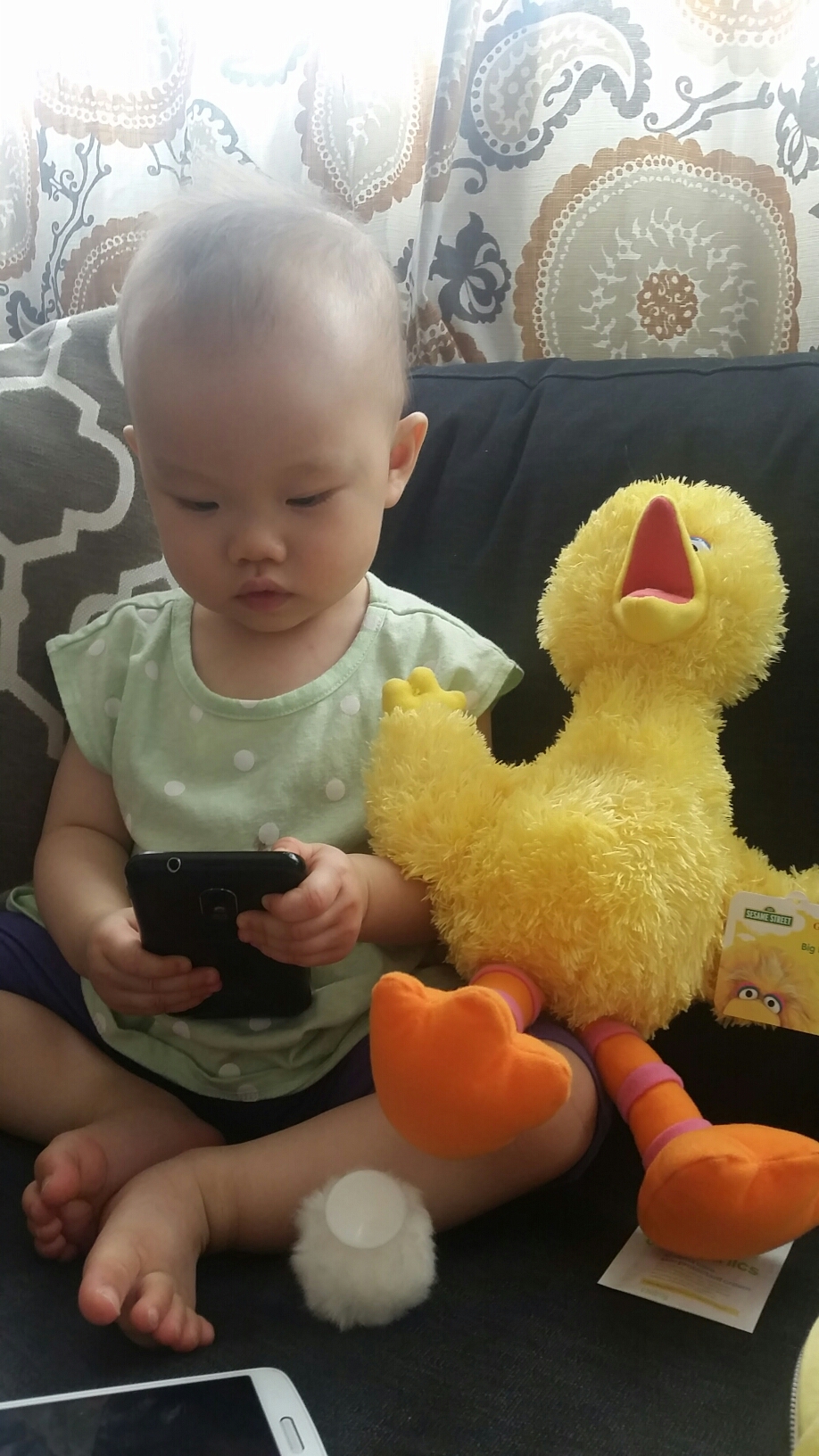 Cell Phone & Big Bird is all you need