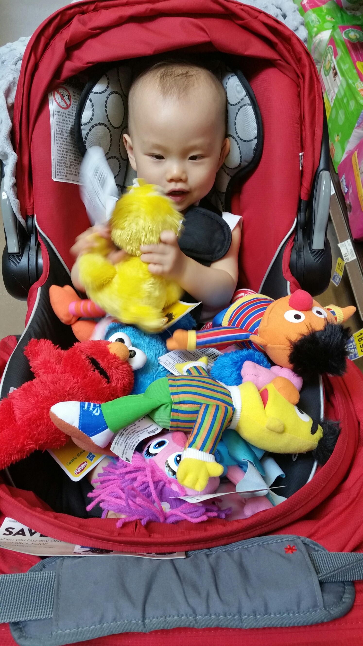 You Love Lala (Big Bird)