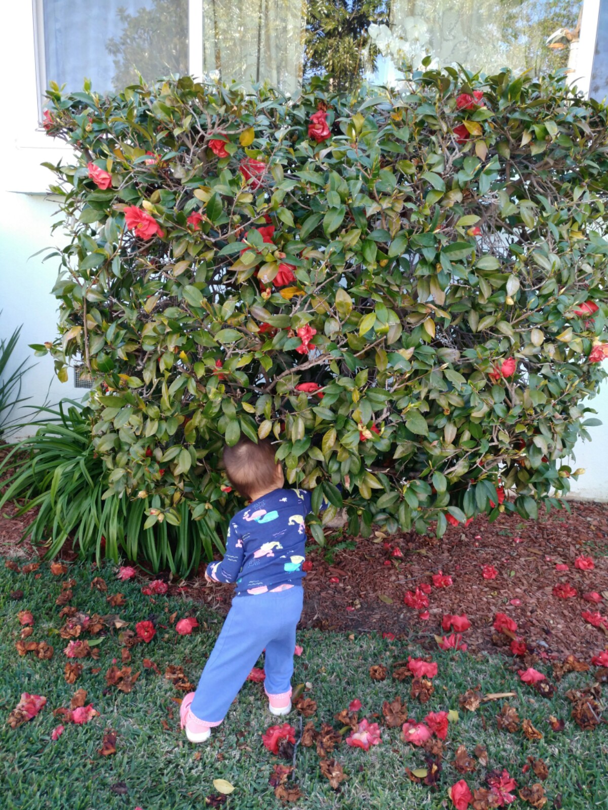 Our Very Own Gardener