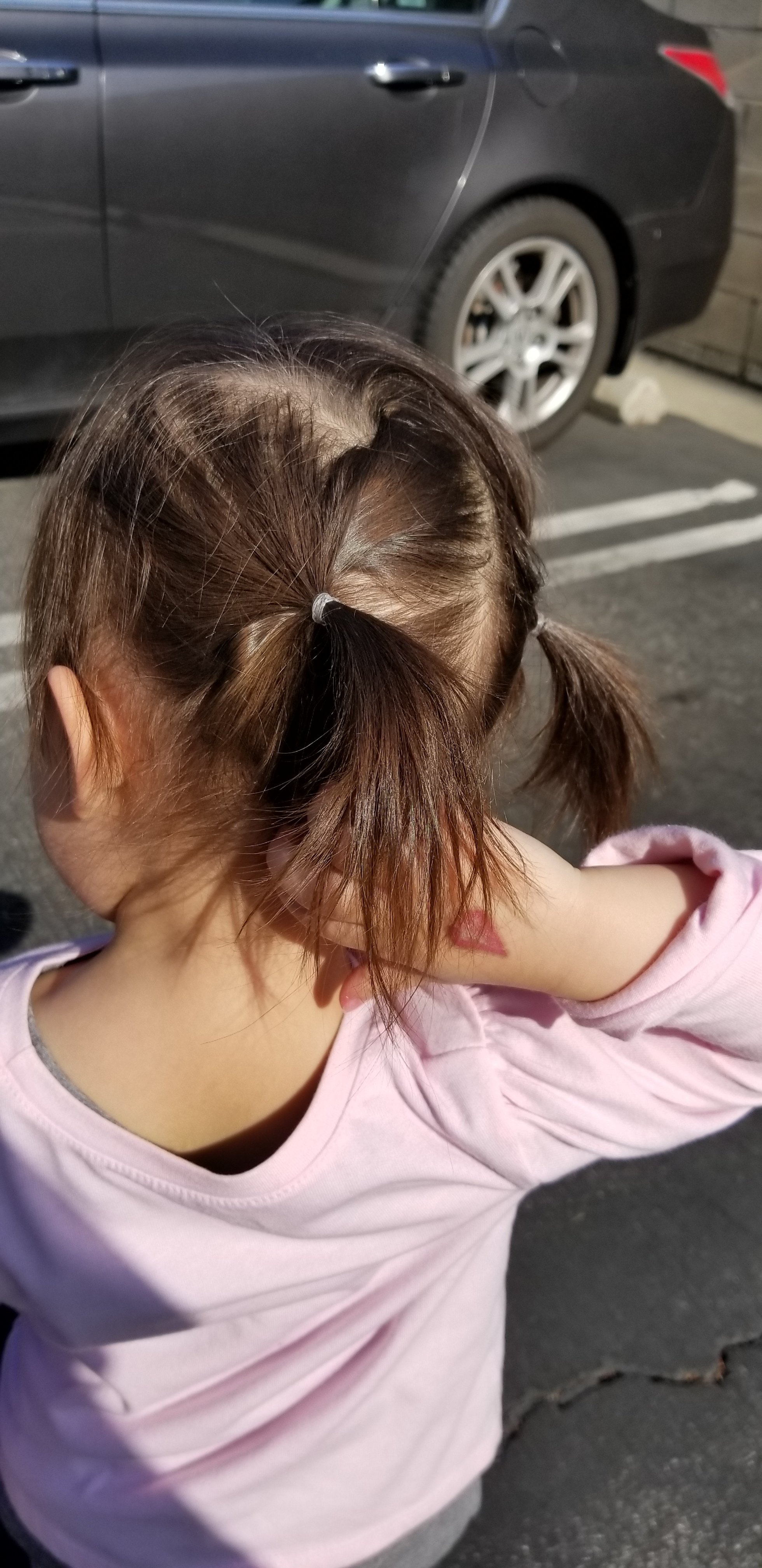 See My Pony Tail?