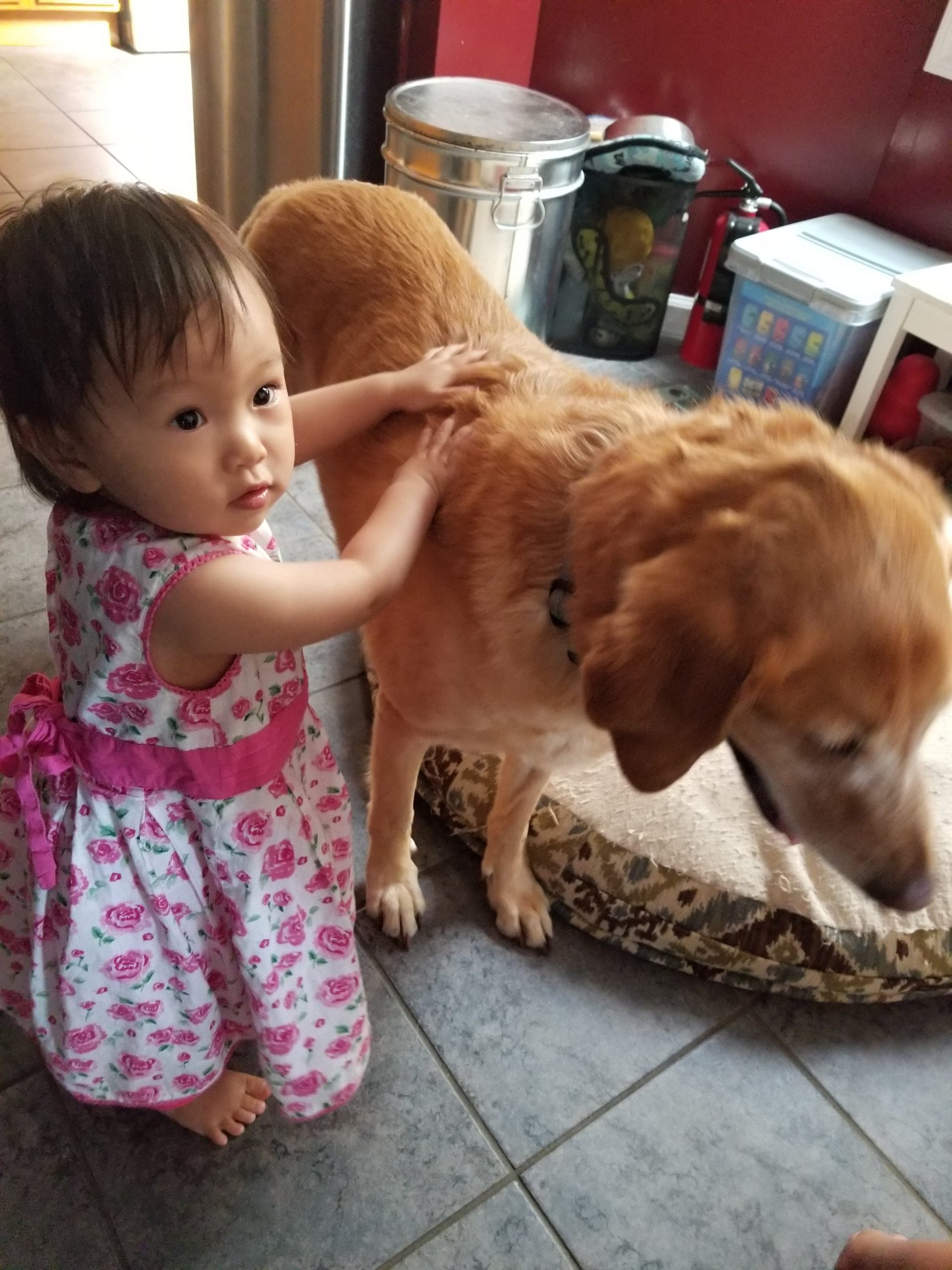 Doggie feels so soft, woof