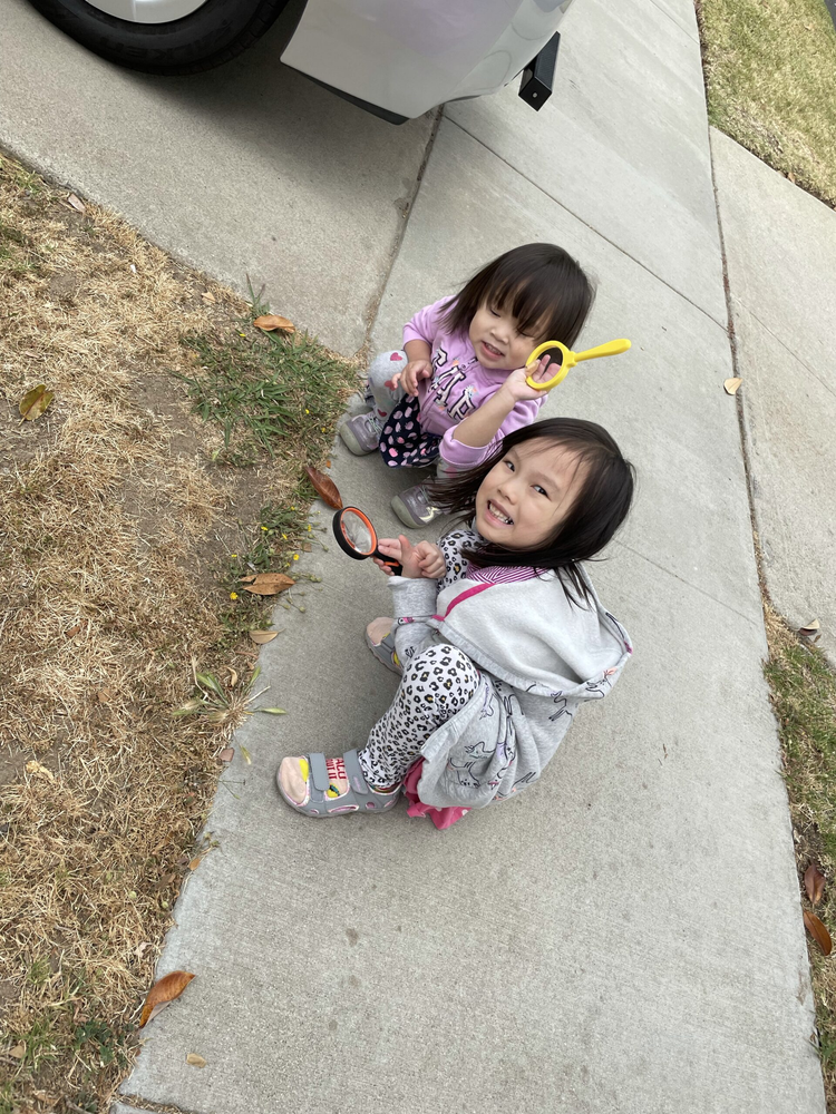 Looking For Bugs To Eat